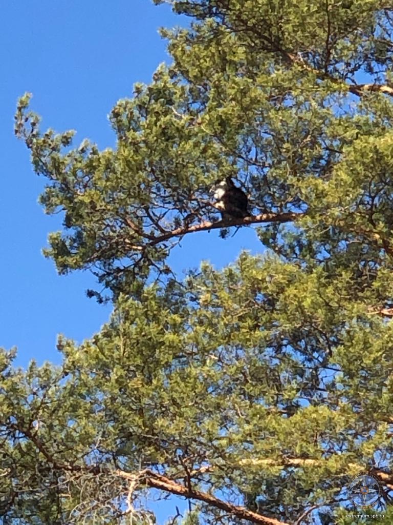 WhatsApp Image 2020-05-13 at 19.06.52.jpeg