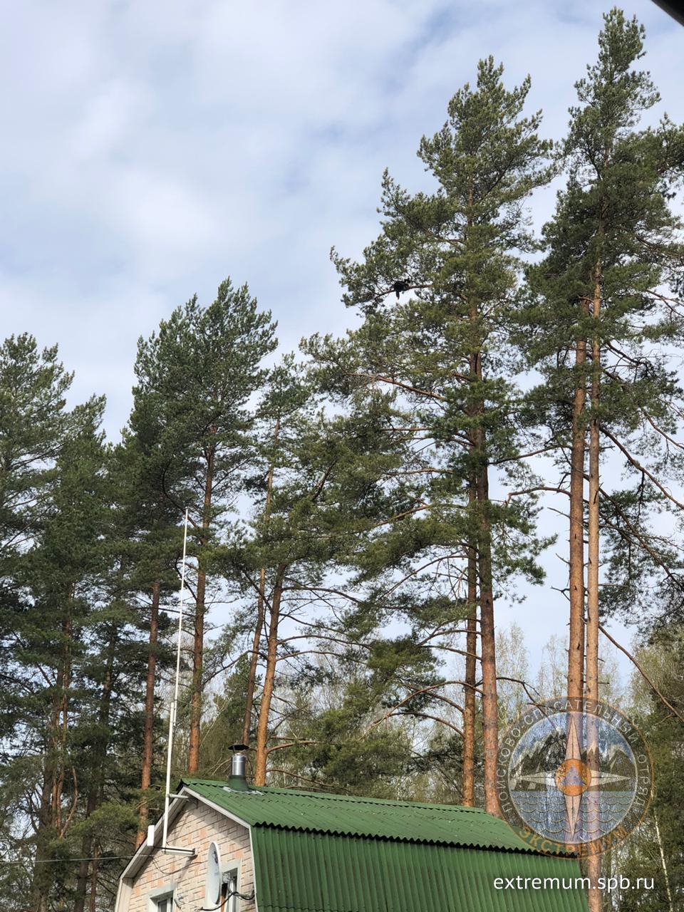 WhatsApp Image 2020-05-13 at 19.06.51.jpeg