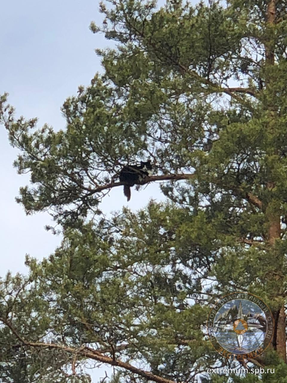 WhatsApp Image 2020-05-13 at 19.06.50.jpeg