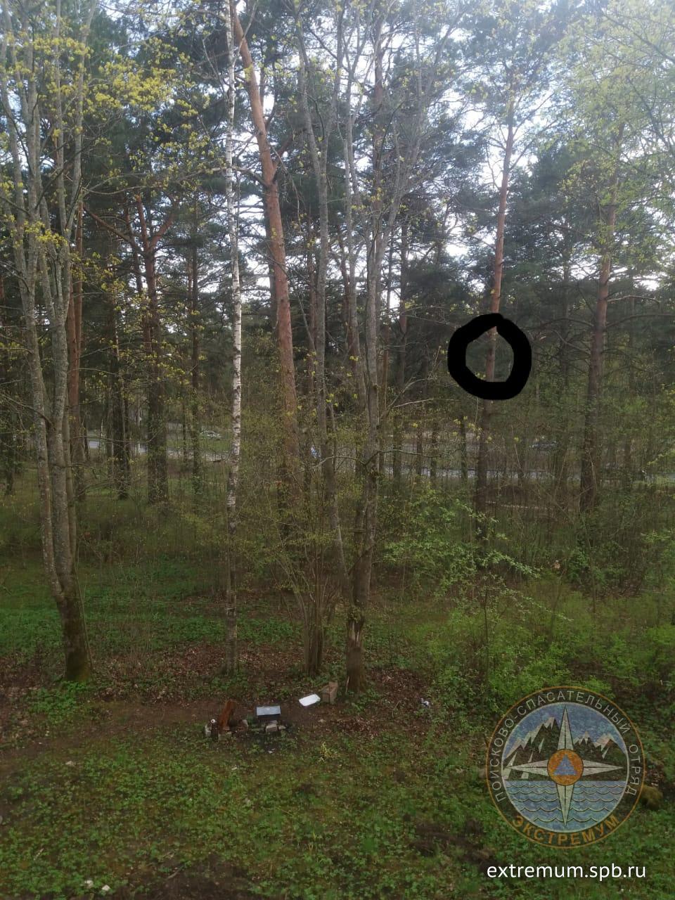 WhatsApp Image 2020-05-13 at 19.17.56 (1).jpeg