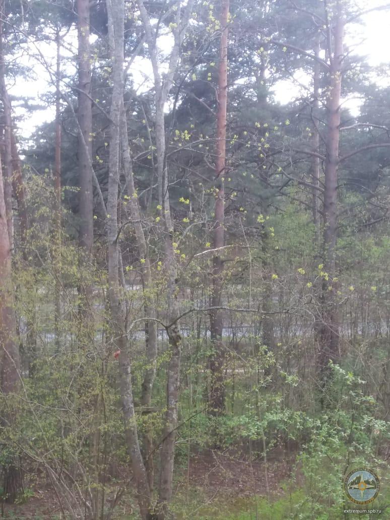 WhatsApp Image 2020-05-13 at 19.17.54 (5).jpeg