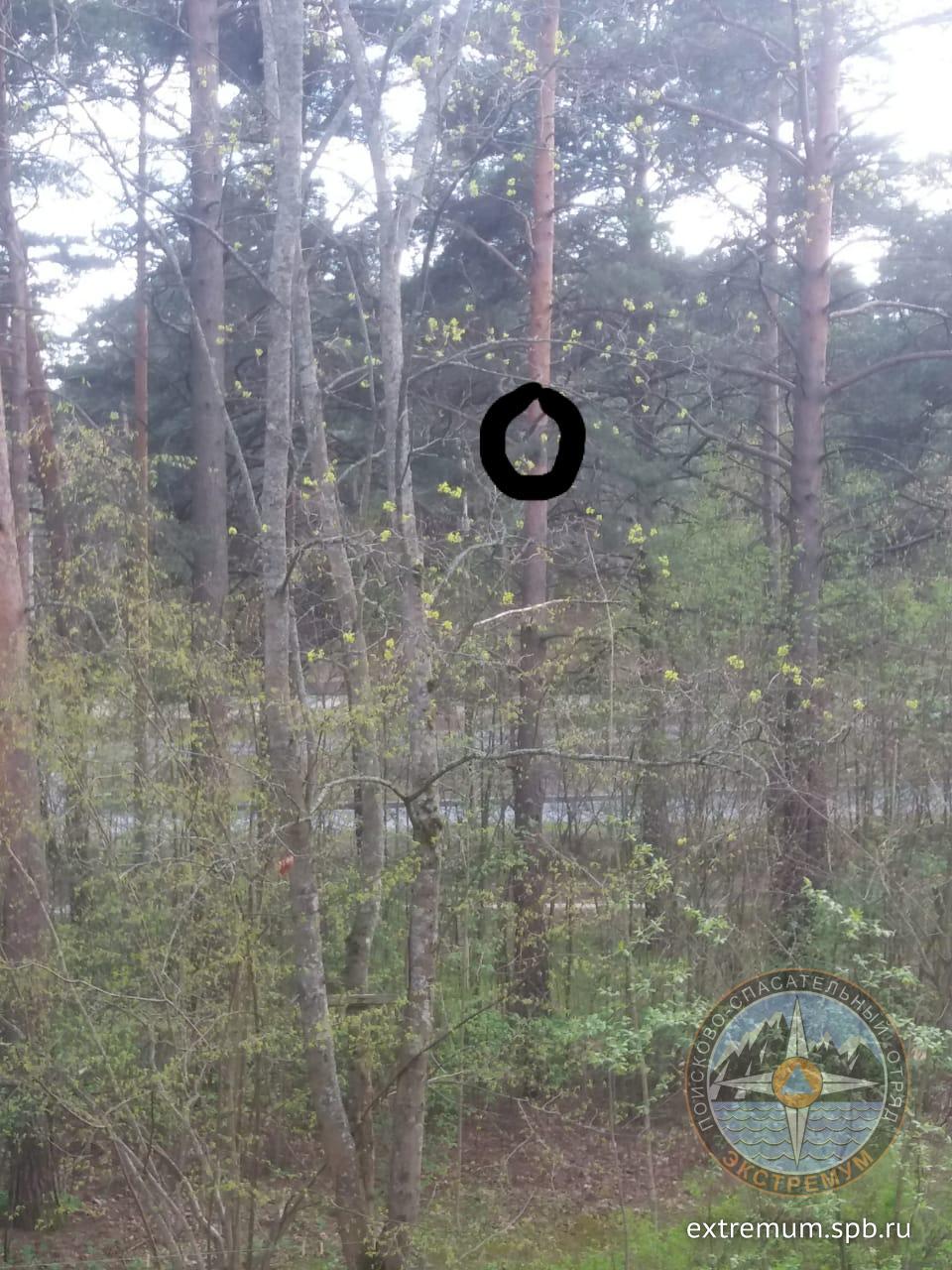 WhatsApp Image 2020-05-13 at 19.17.54 (4).jpeg