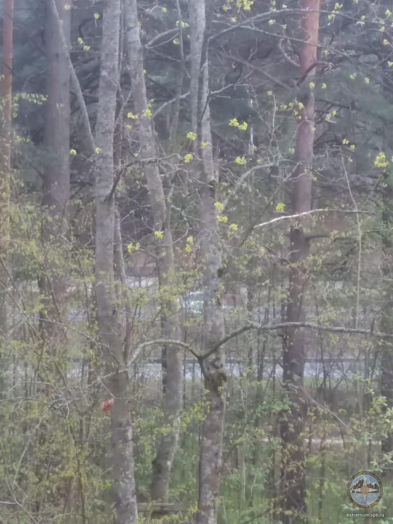 WhatsApp Image 2020-05-13 at 19.17.54 (3).jpeg