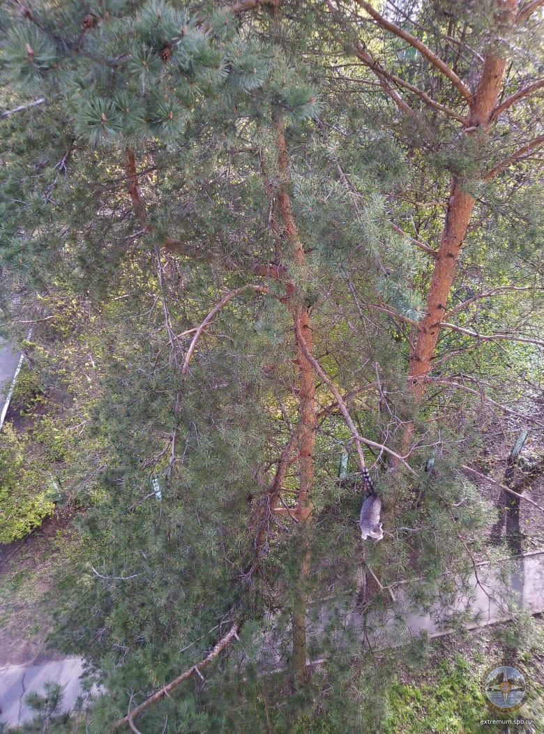 WhatsApp Image 2020-05-14 at 18.39.33.jpeg