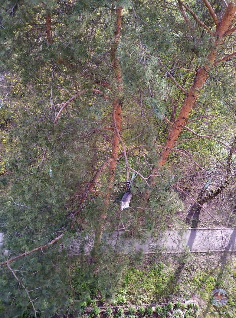 WhatsApp Image 2020-05-14 at 18.39.24.jpeg