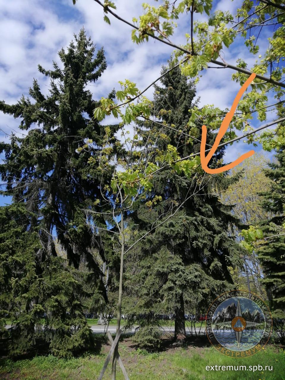 WhatsApp Image 2020-05-17 at 15.33.30.jpeg