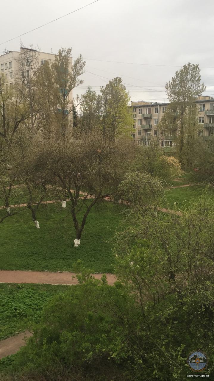 WhatsApp Image 2020-05-17 at 20.22.58.jpeg