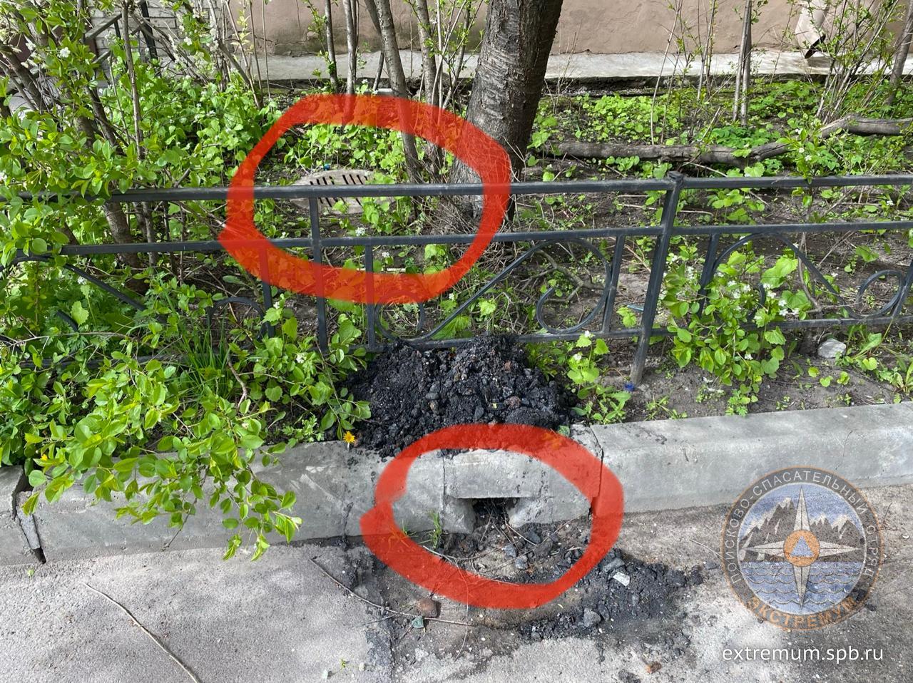 WhatsApp Image 2020-05-18 at 09.19.08.jpeg