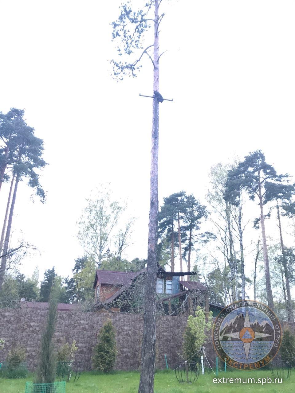 photo_2020-05-21_21-54-11 (2).jpg