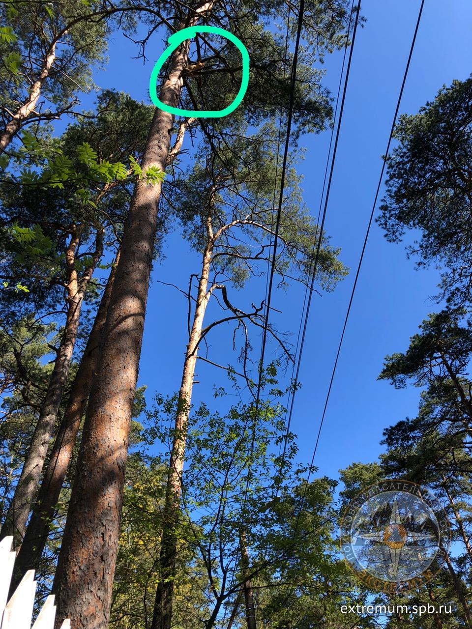 WhatsApp Image 2020-05-23 at 10.16.28 (1).jpeg