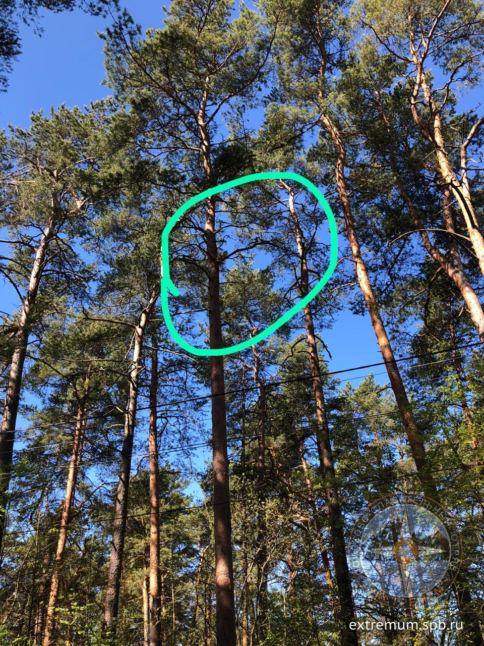 WhatsApp Image 2020-05-23 at 09.52.38.jpeg