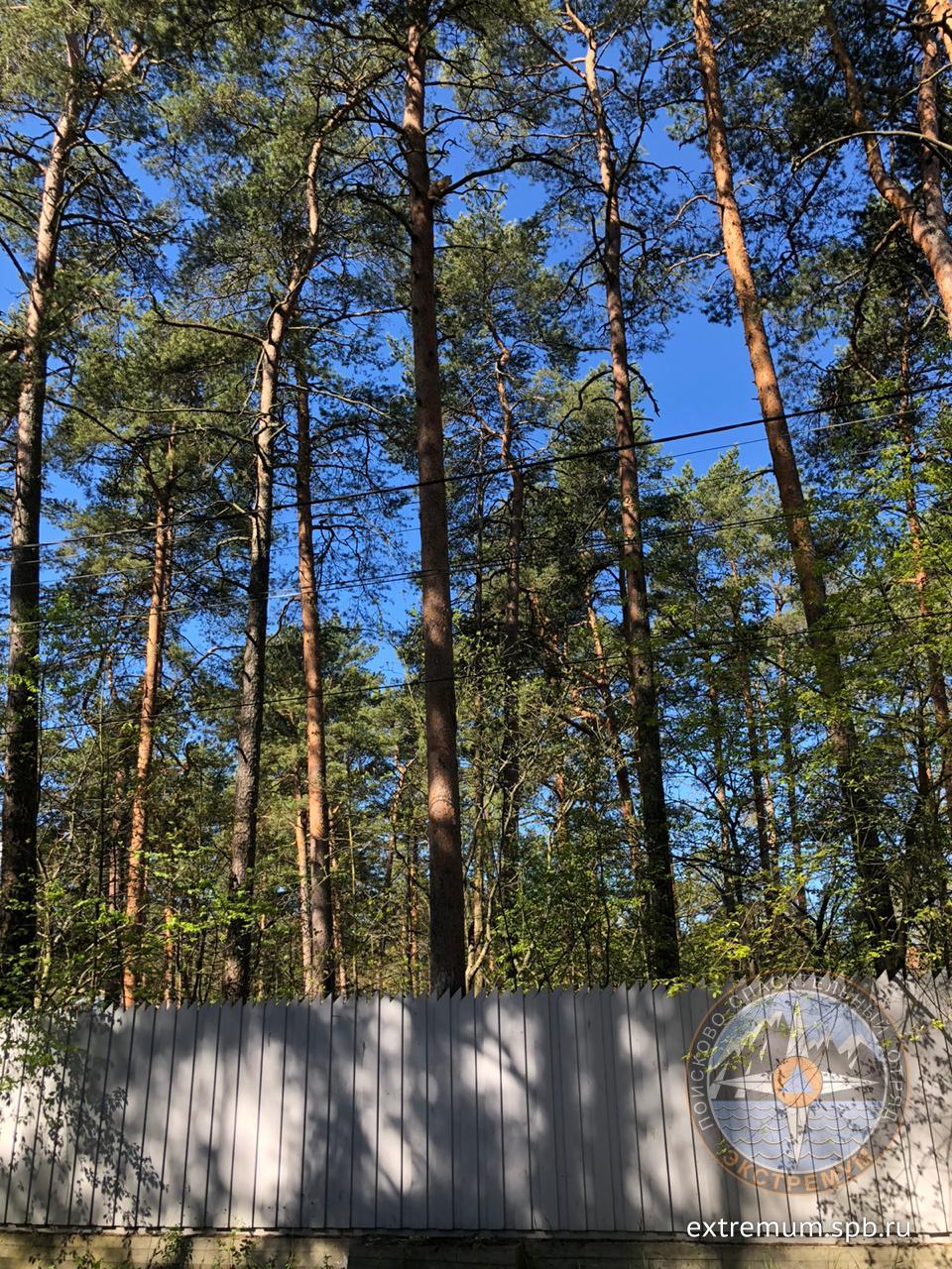 WhatsApp Image 2020-05-23 at 09.51.48 (1).jpeg