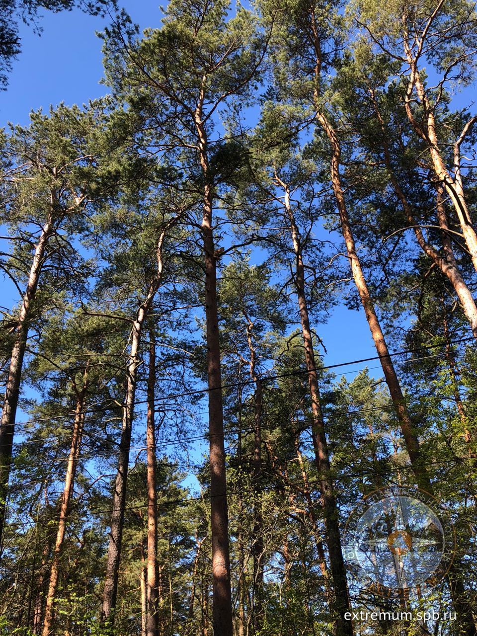 WhatsApp Image 2020-05-23 at 09.51.48.jpeg