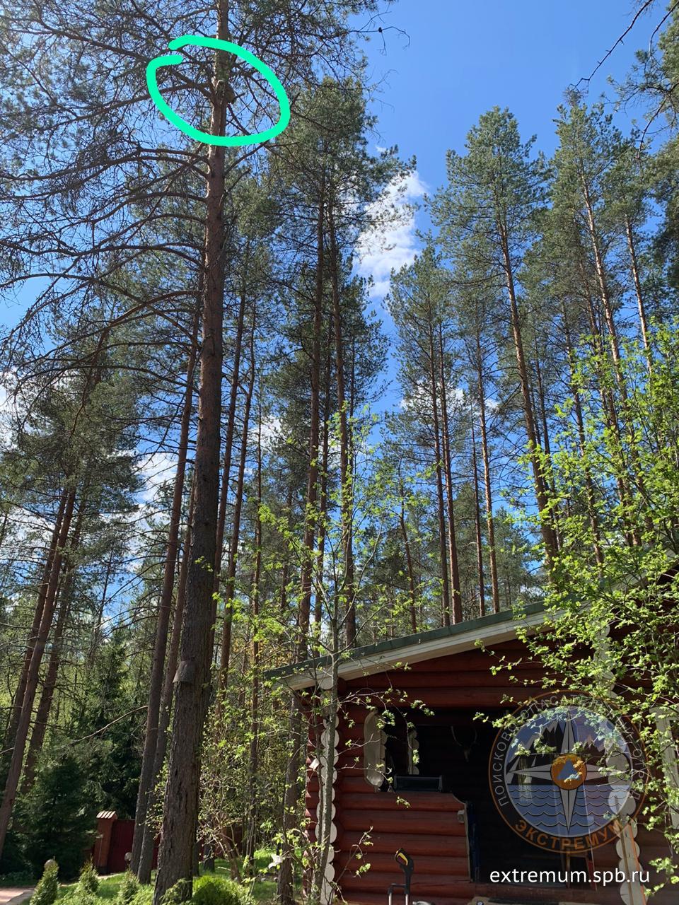 WhatsApp Image 2020-05-26 at 12.55.12.jpeg