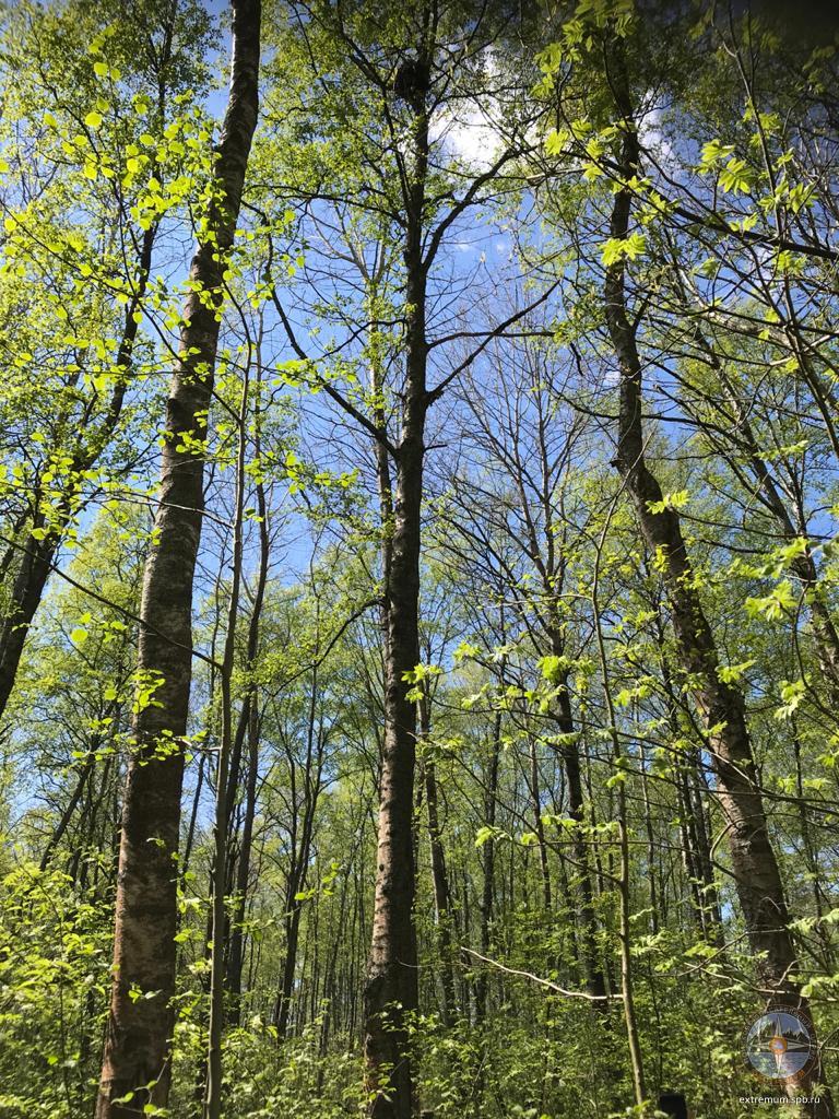 WhatsApp Image 2020-05-26 at 13.36.46 (3).jpeg