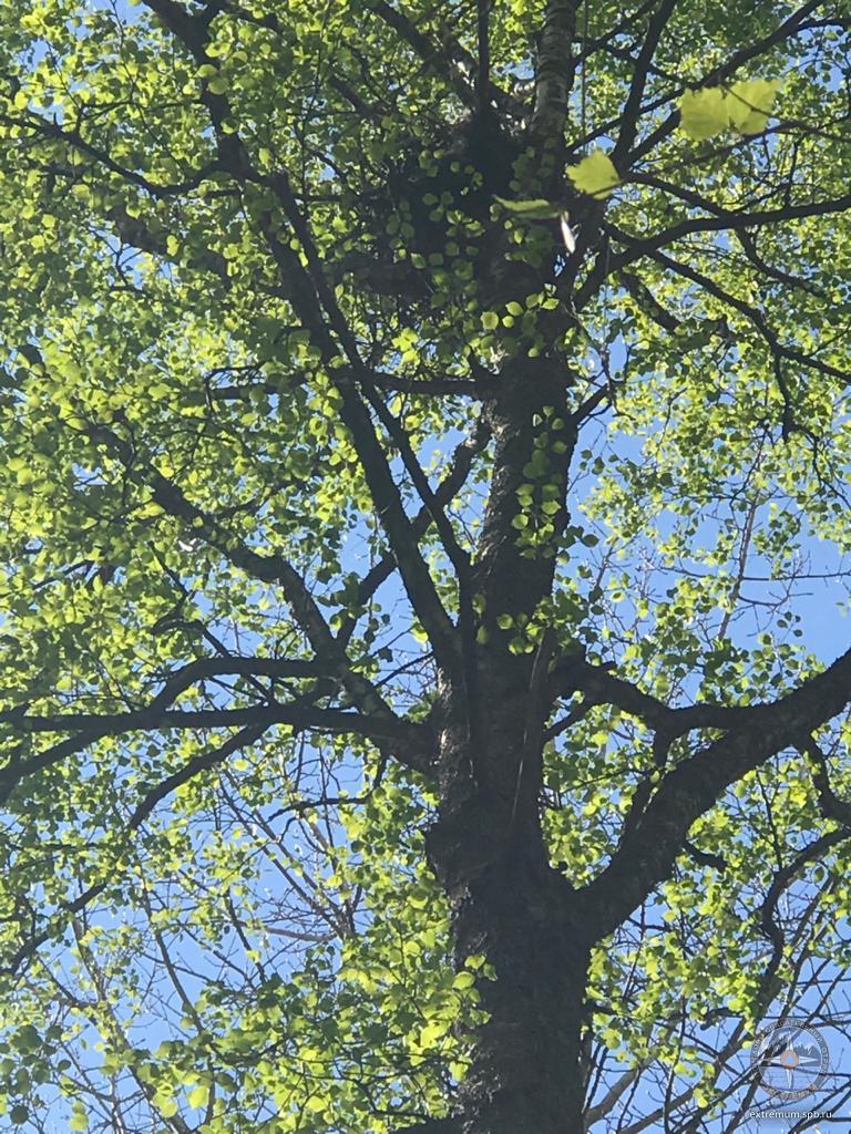 WhatsApp Image 2020-05-26 at 13.36.46 (2).jpeg