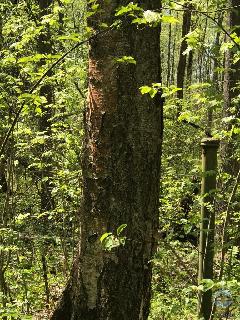 WhatsApp Image 2020-05-26 at 13.36.46 (1).jpeg