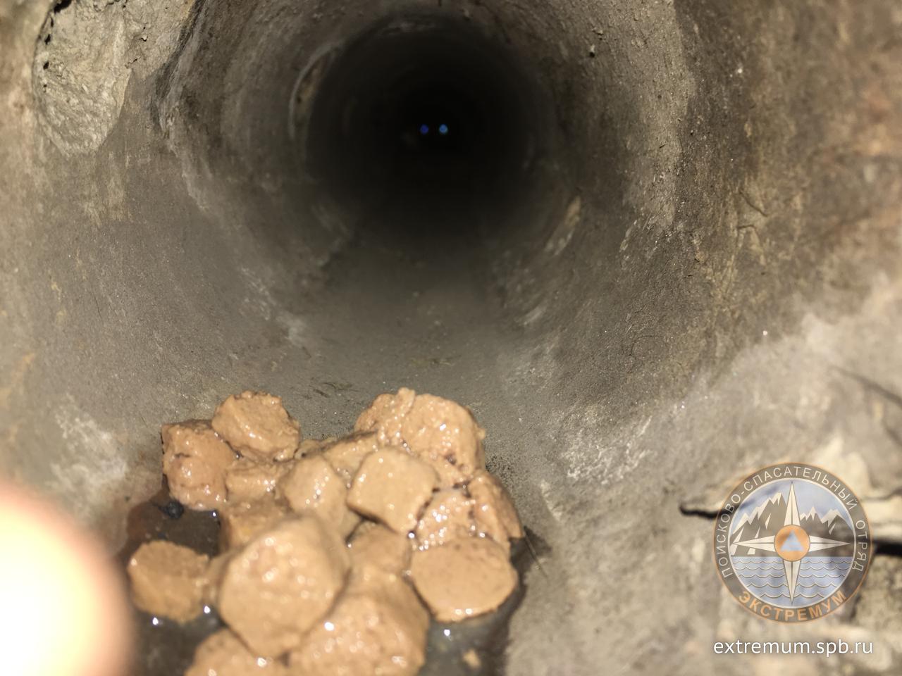 WhatsApp Image 2020-05-26 at 15.53.59.jpeg