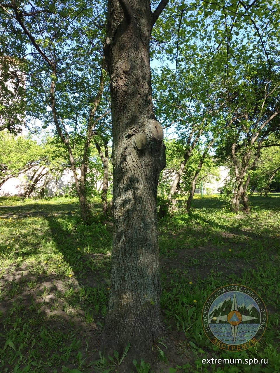 WhatsApp Image 2020-05-26 at 16.58.10 (1).jpeg