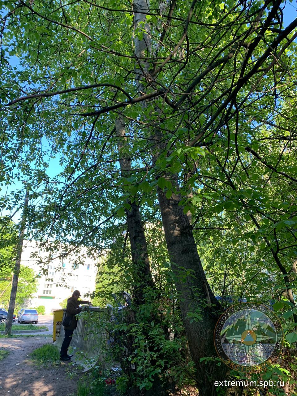 WhatsApp Image 2020-05-26 at 18.17.52 (1).jpeg