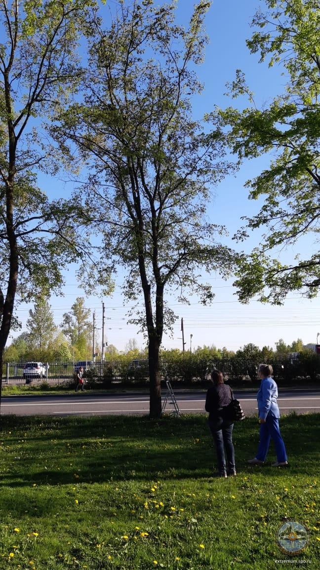 WhatsApp Image 2020-05-26 at 18.43.27.jpeg