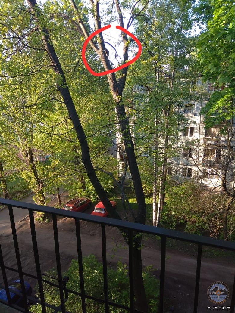 WhatsApp Image 2020-05-26 at 20.01.49 (1).jpeg