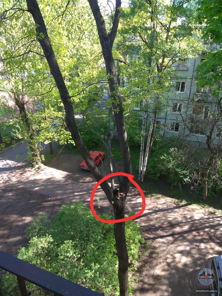 WhatsApp Image 2020-05-27 at 10.24.47.jpeg