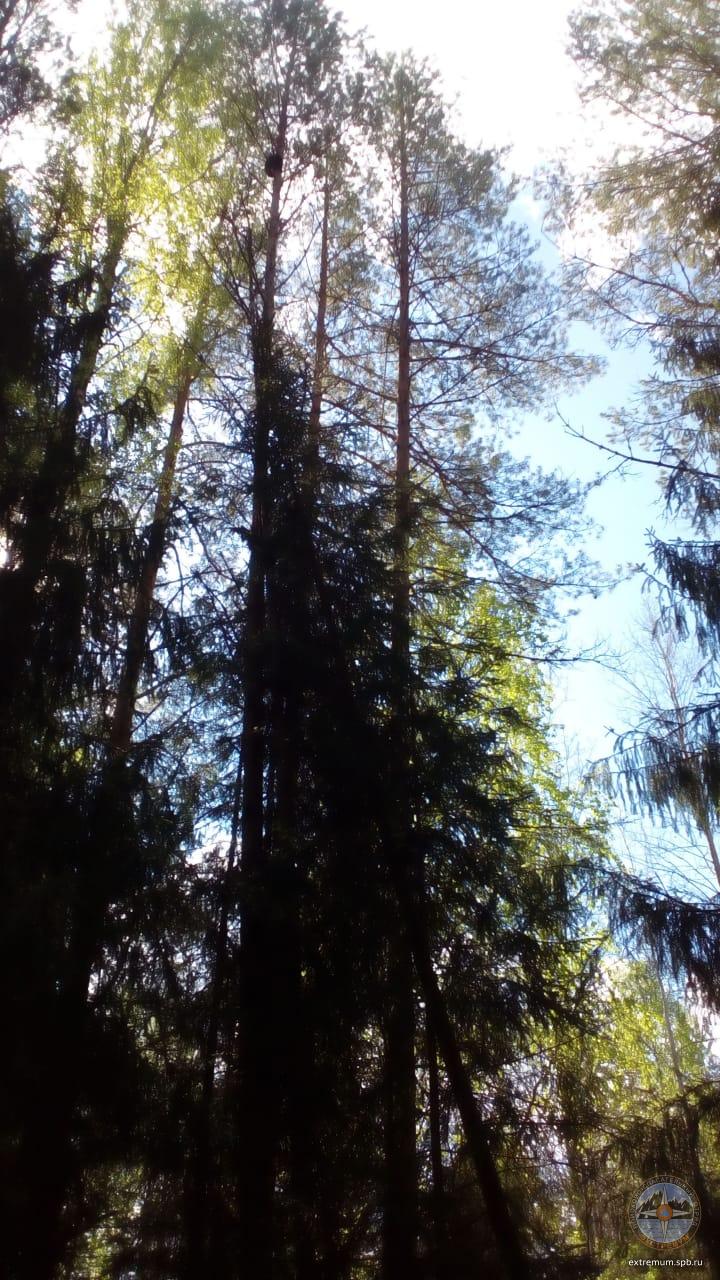 WhatsApp Image 2020-05-29 at 09.51.43 (3).jpeg