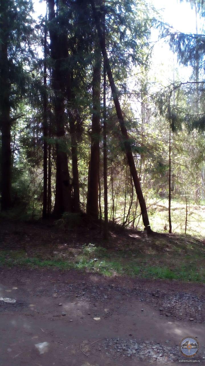 WhatsApp Image 2020-05-29 at 09.51.43 (2).jpeg