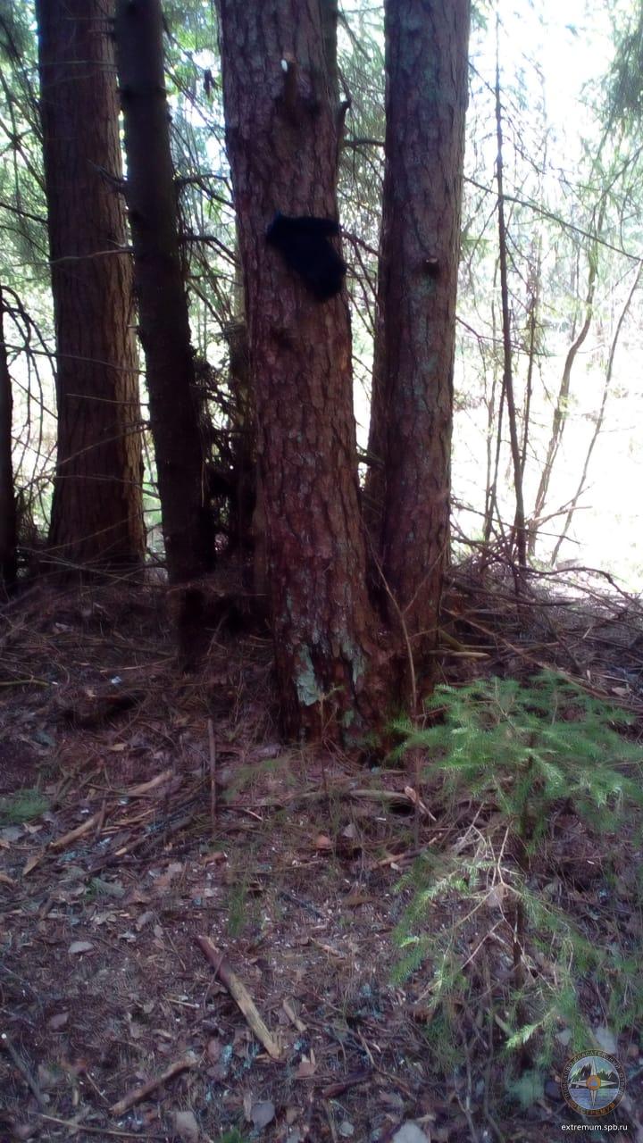 WhatsApp Image 2020-05-29 at 09.51.43 (1).jpeg