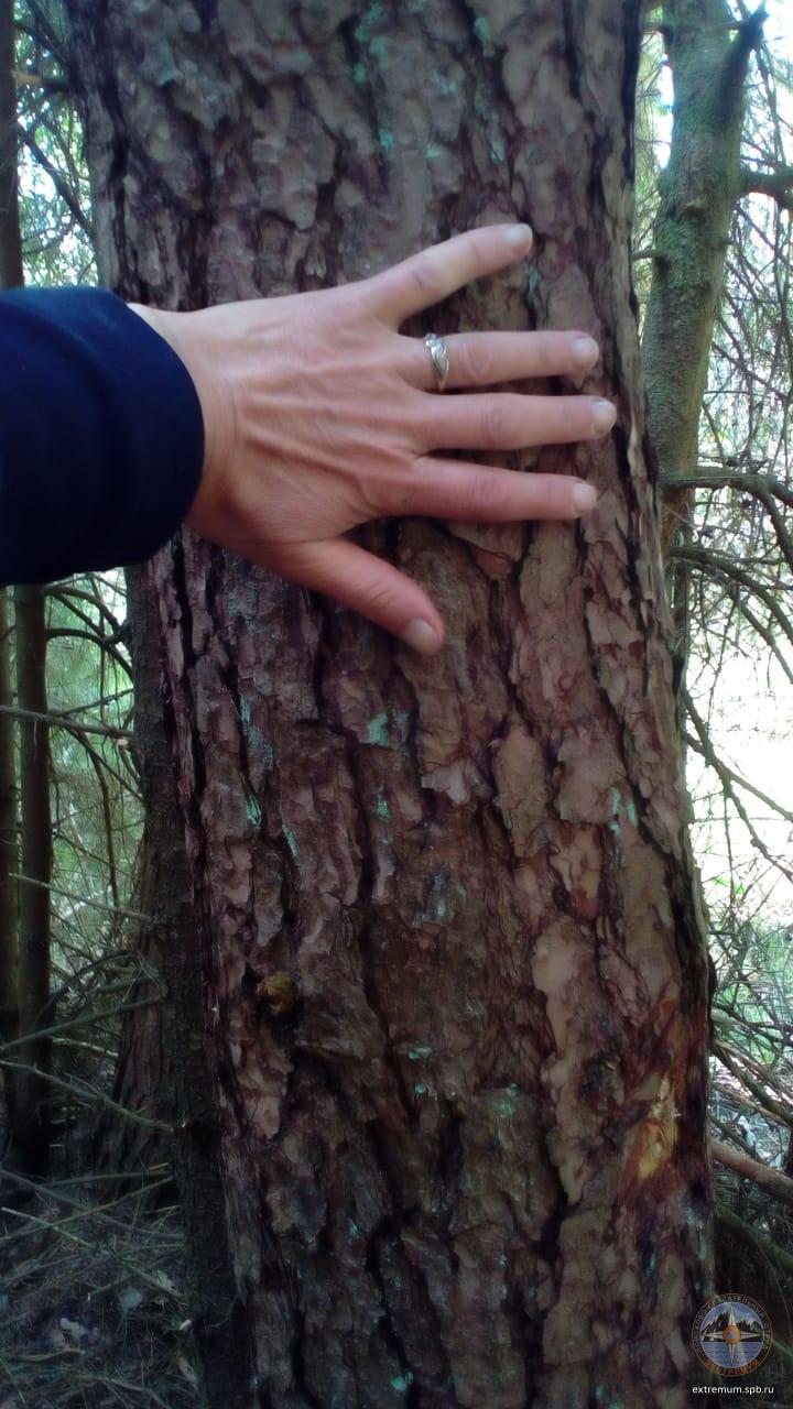 WhatsApp Image 2020-05-29 at 09.51.43.jpeg