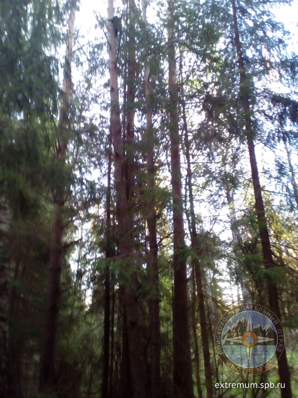 WhatsApp Image 2020-05-29 at 09.51.42.jpeg