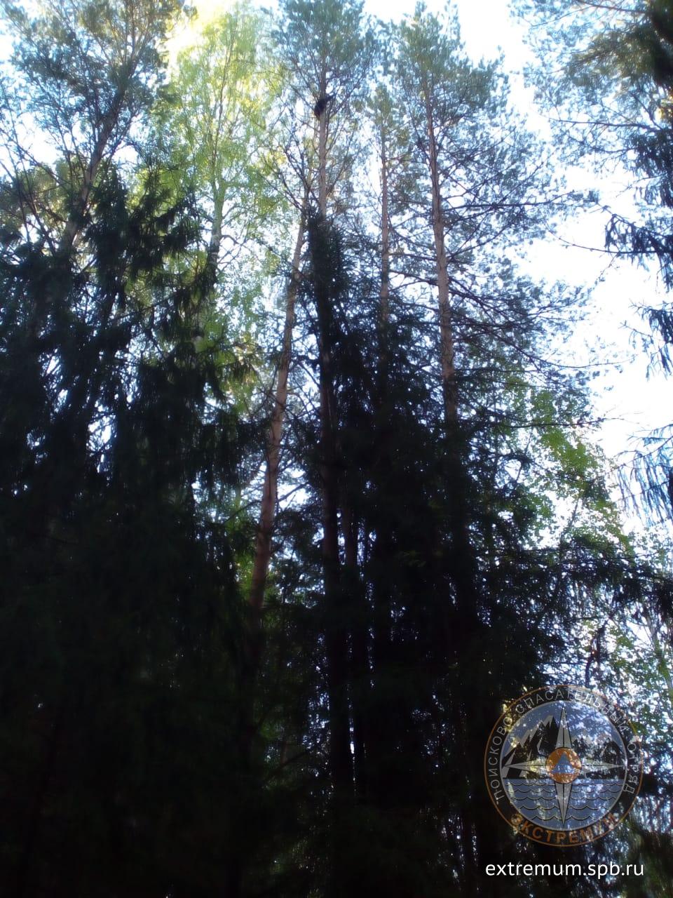 WhatsApp Image 2020-05-29 at 09.51.29.jpeg