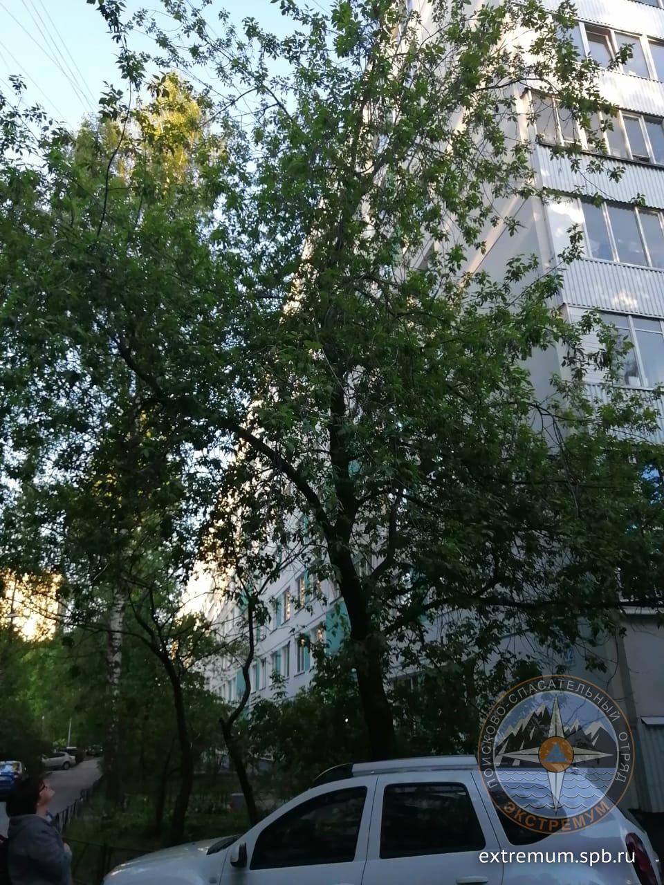 WhatsApp Image 2020-05-29 at 20.46.36.jpeg