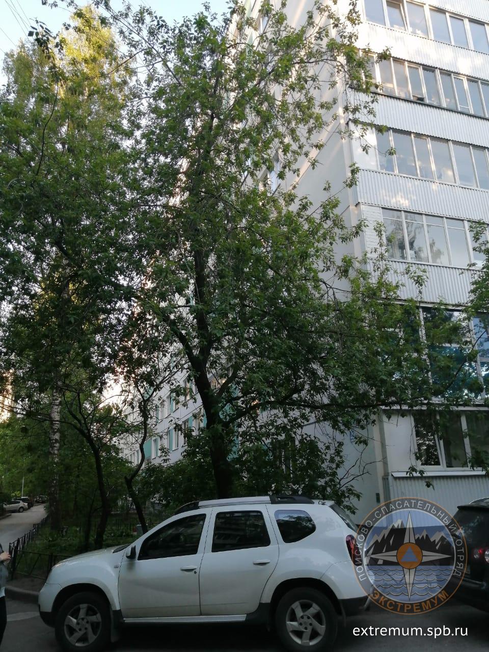 WhatsApp Image 2020-05-29 at 20.46.21.jpeg