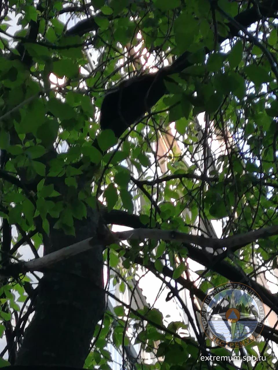 WhatsApp Image 2020-05-29 at 20.46.11.jpeg