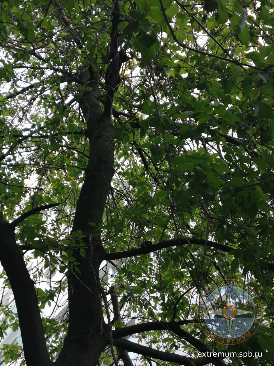 WhatsApp Image 2020-05-29 at 20.45.04.jpeg