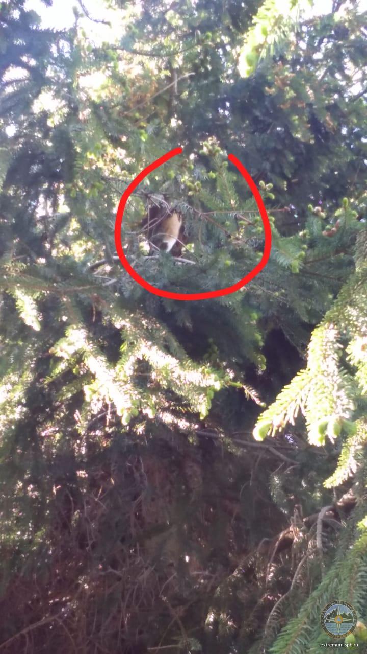 WhatsApp Image 2020-05-30 at 09.21.07.jpeg