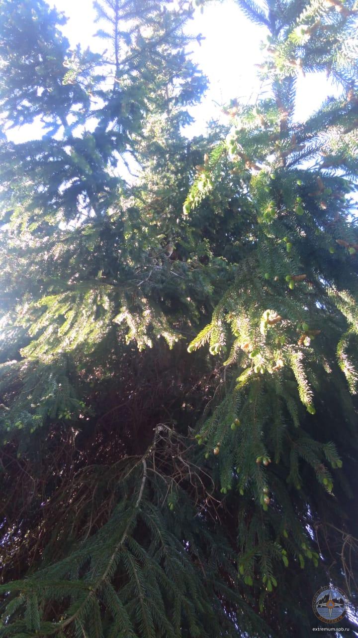 WhatsApp Image 2020-05-30 at 09.20.53.jpeg