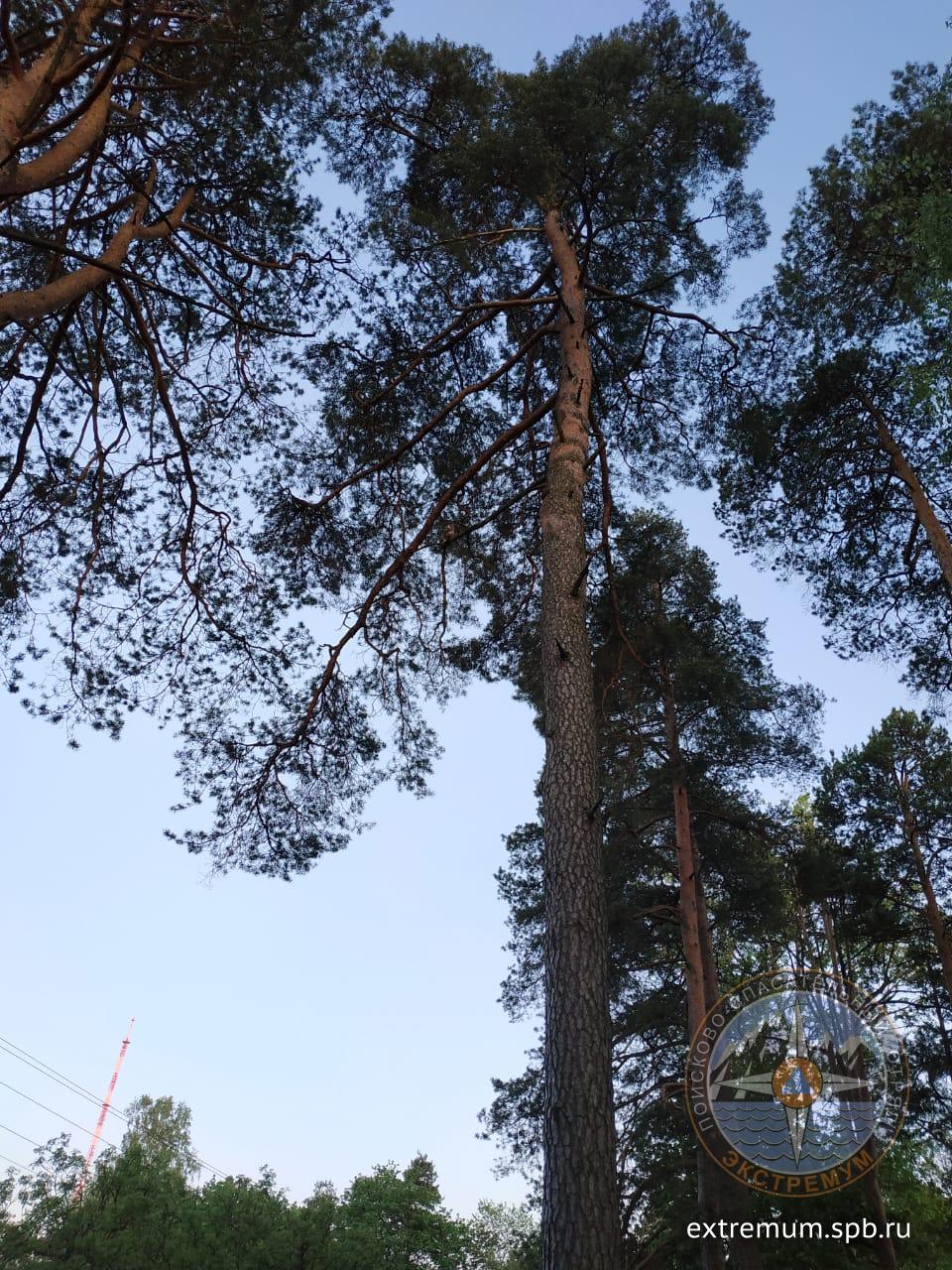 WhatsApp Image 2020-05-29 at 21.45.34.jpeg