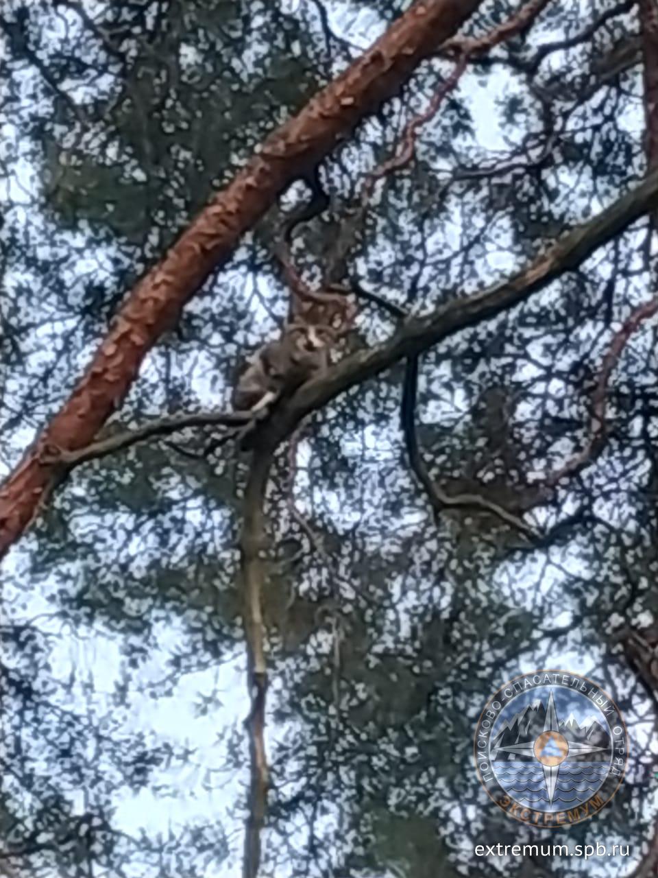 WhatsApp Image 2020-05-29 at 21.44.54.jpeg