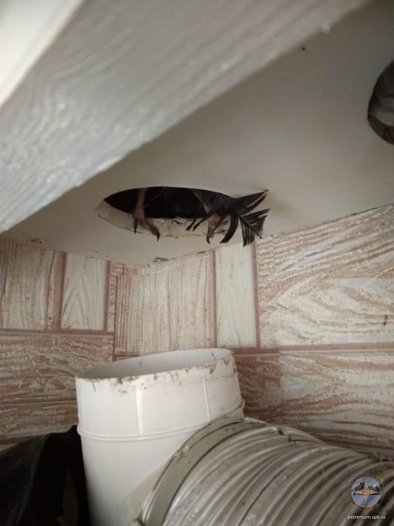 WhatsApp Image 2020-05-30 at 10.42.00.jpeg