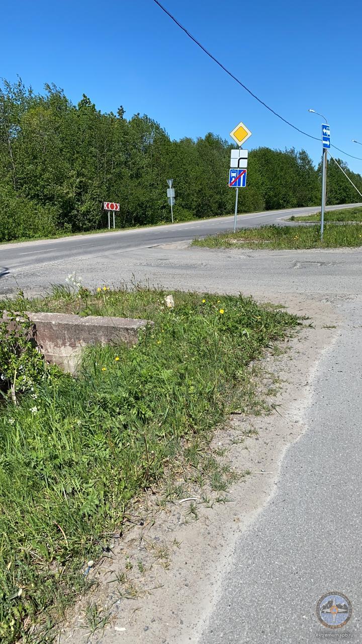 WhatsApp Image 2020-05-31 at 11.04.12.jpeg