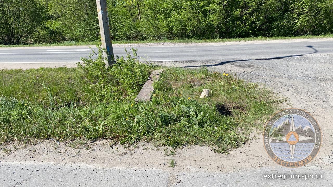 WhatsApp Image 2020-05-31 at 11.03.56.jpeg