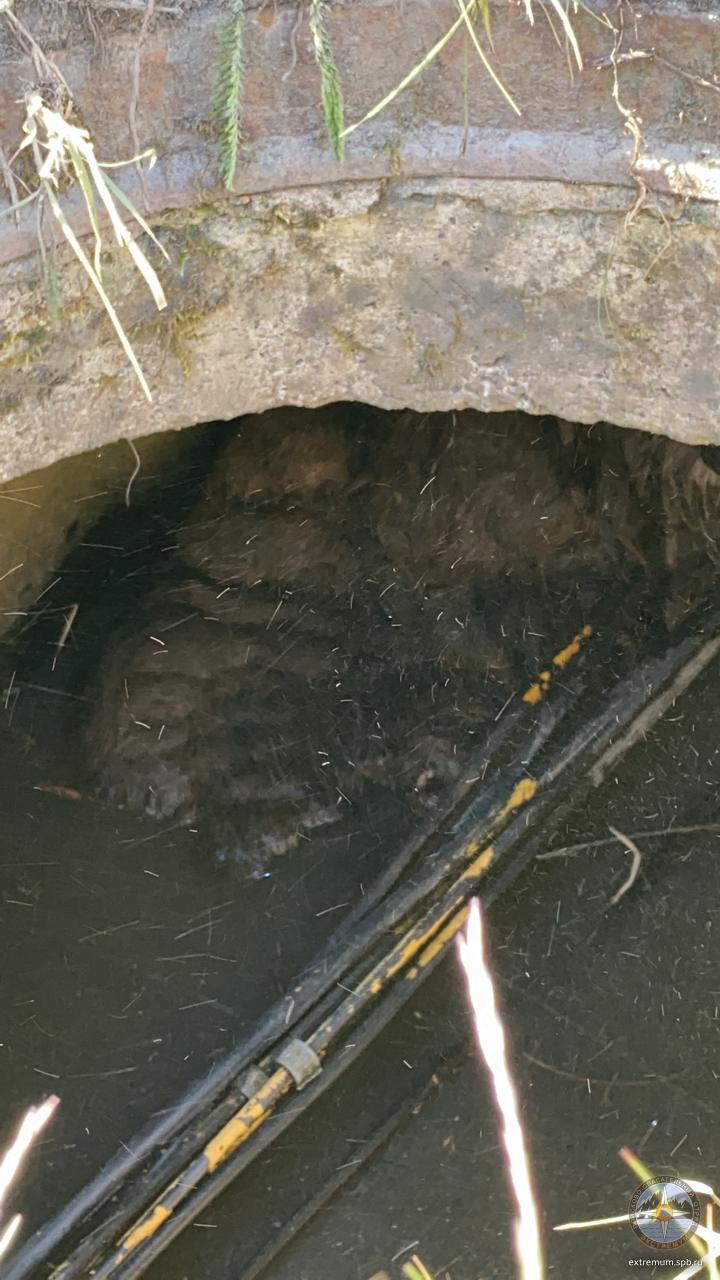 WhatsApp Image 2020-05-31 at 11.03.41.jpeg