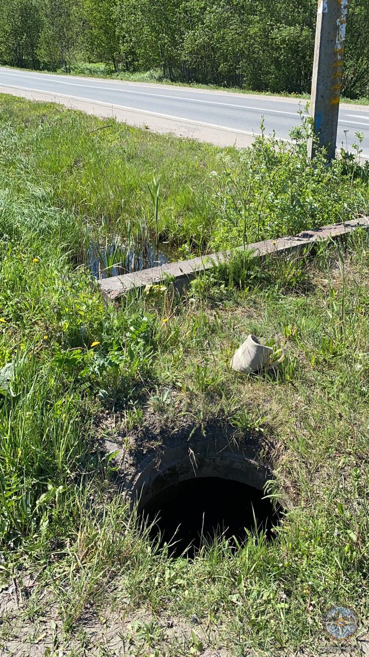 WhatsApp Image 2020-05-31 at 11.03.23.jpeg