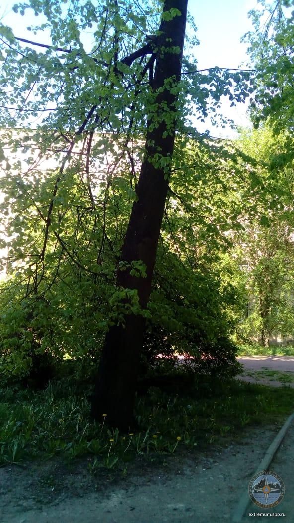 WhatsApp Image 2020-05-30 at 18.24.28 (1).jpeg