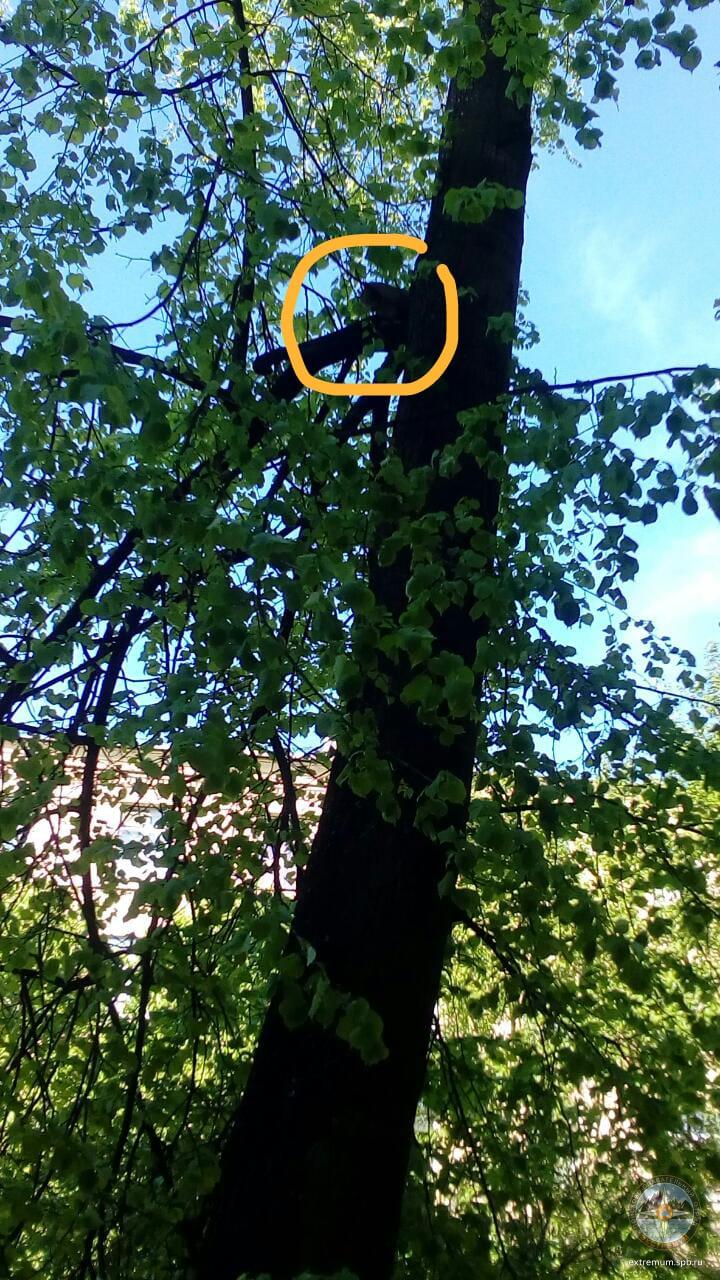 WhatsApp Image 2020-05-30 at 18.24.28.jpeg