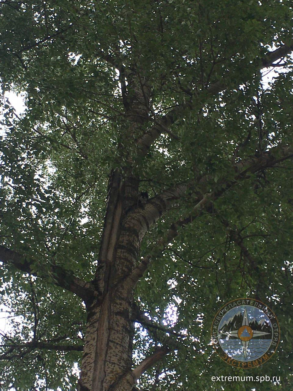 WhatsApp Image 2020-06-03 at 10.13.52.jpeg