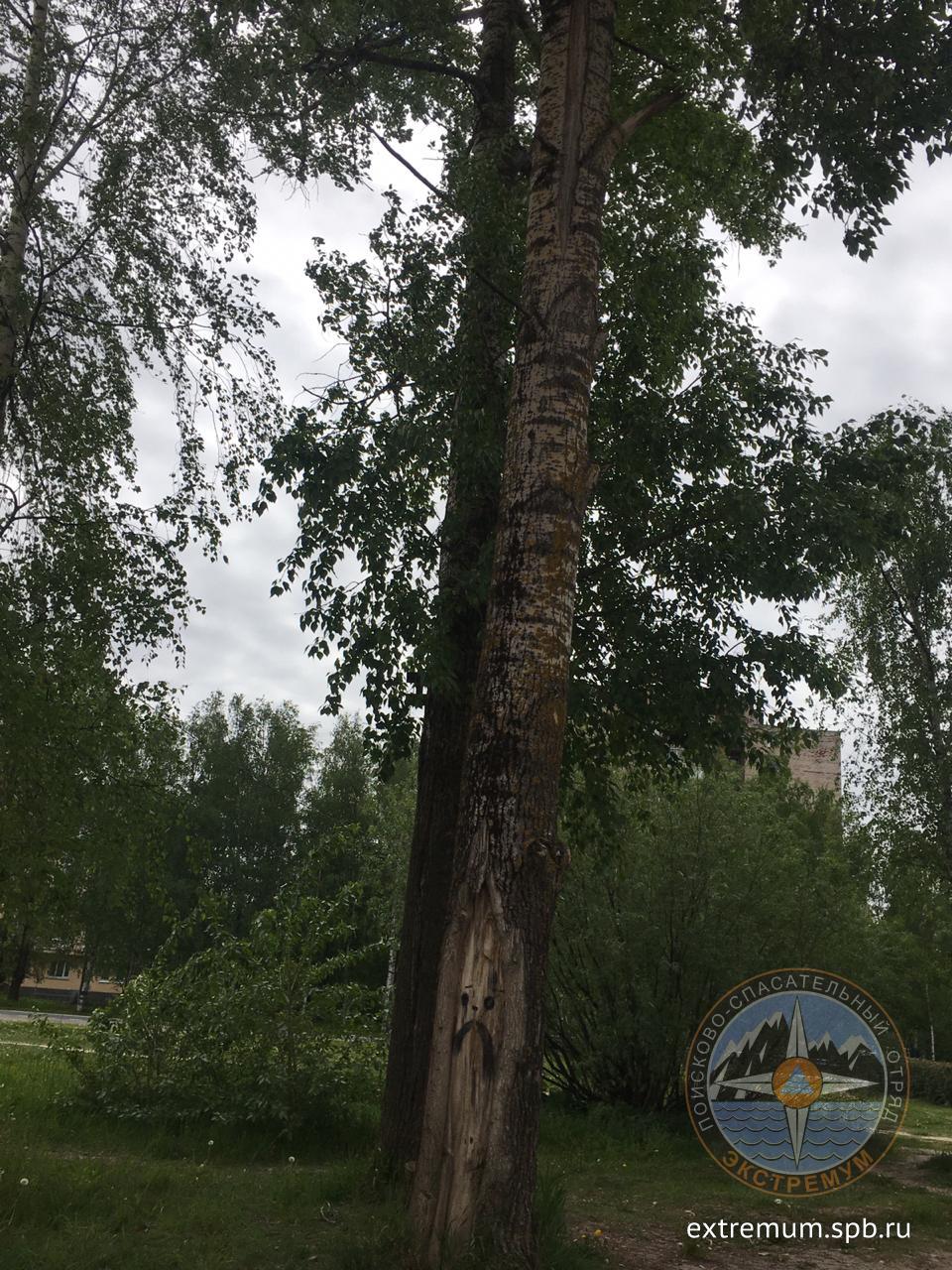 WhatsApp Image 2020-06-03 at 10.13.39.jpeg